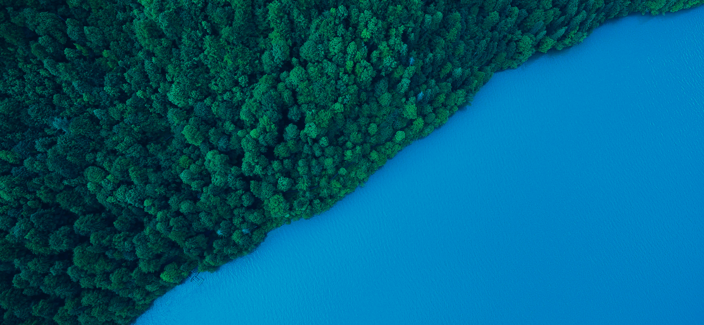 Compromisso com o Futuro background