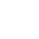 shield.whiite