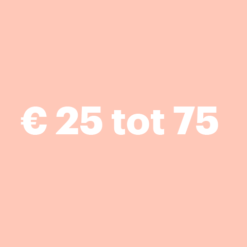 Woonitems tussen 25 en 75 euro
o.a. raamdeco en verlichting