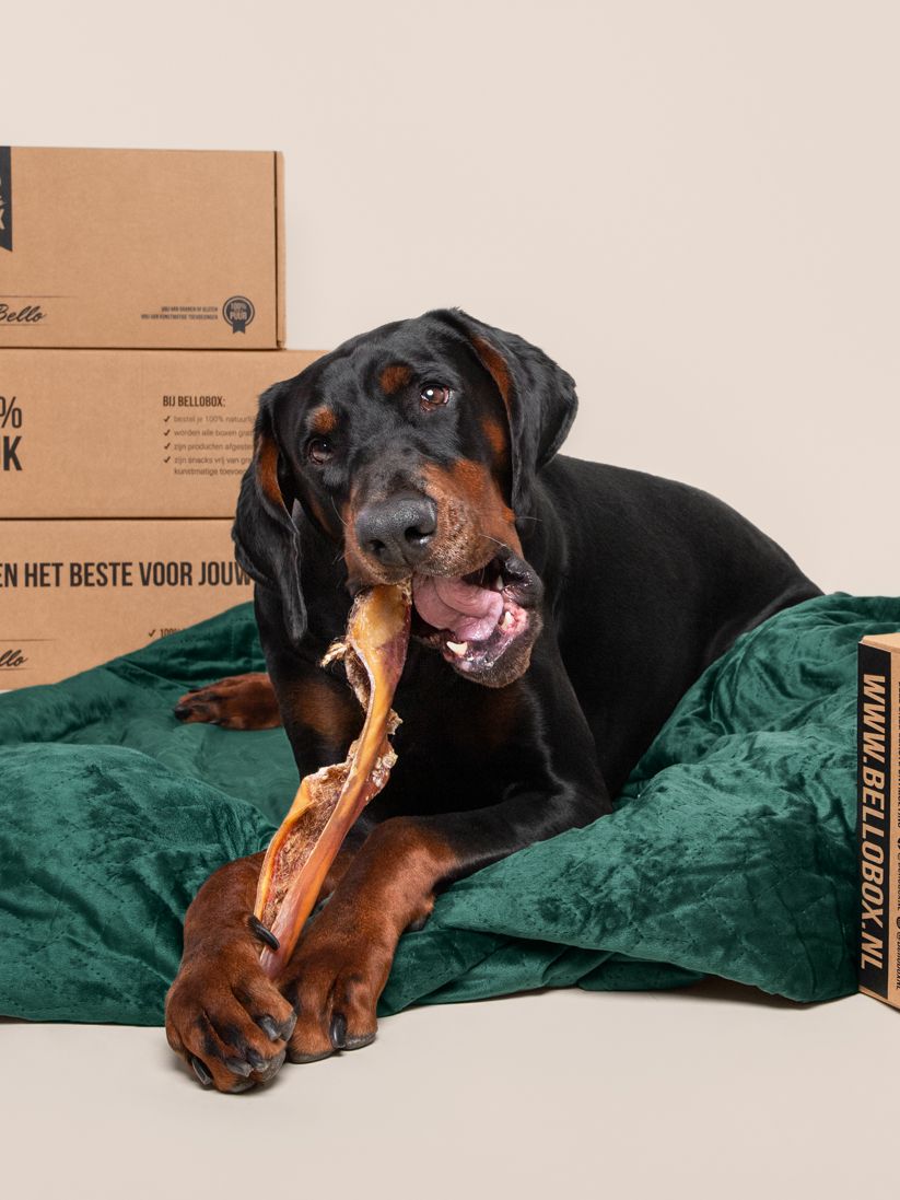 bellobox-product_catalog-1.jpeg