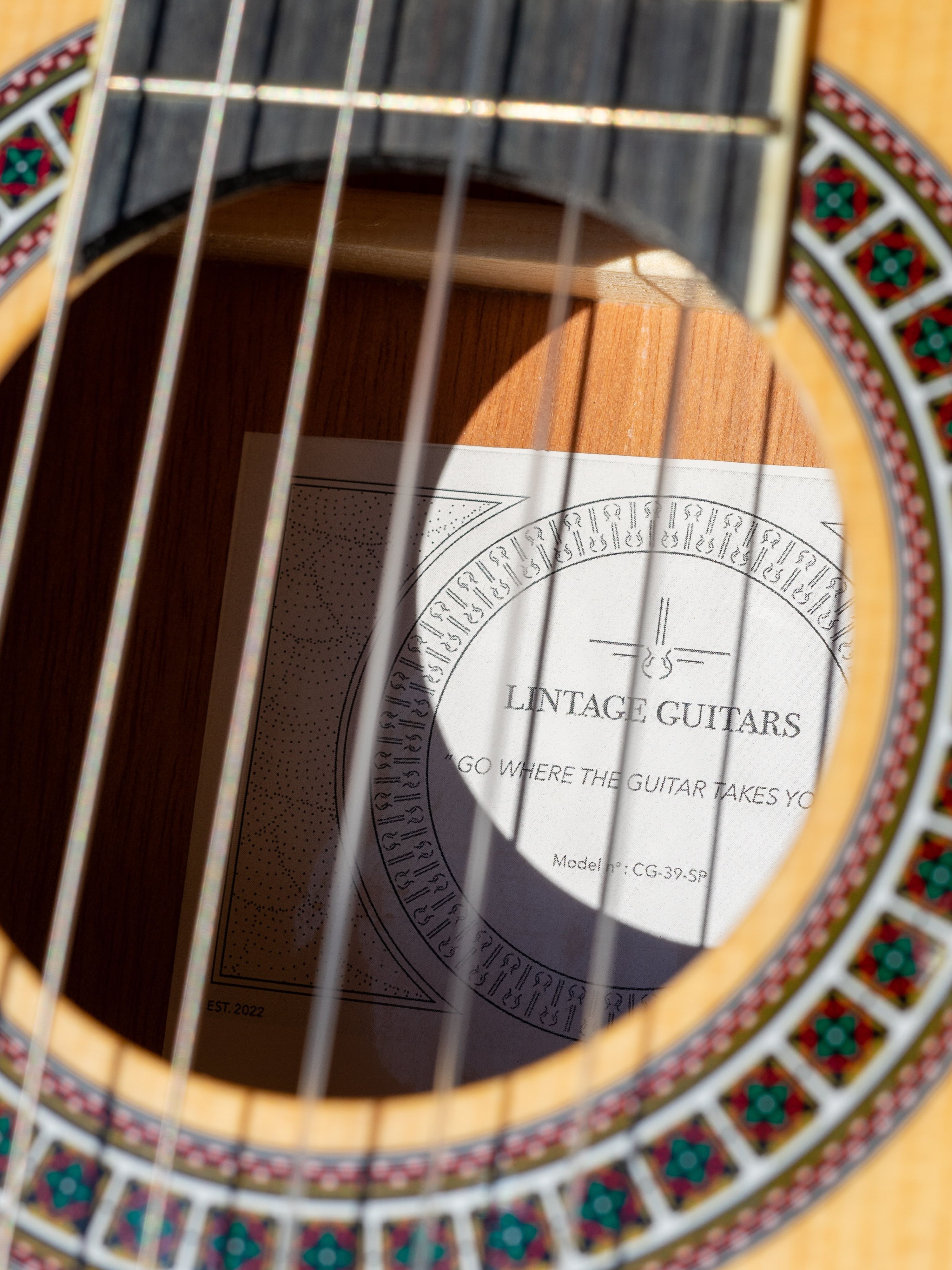 lintage_guitars-product_catalog-3.jpeg