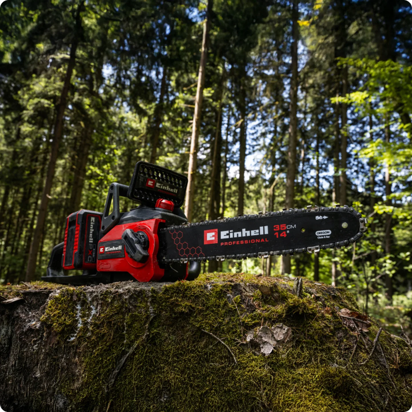 Accu-kettingzaag-op-een-boomstronk-in-het-bos.png