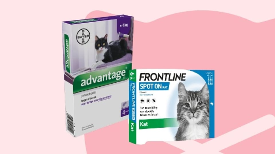 Vlooiendruppels_Kat.jpg Vlooiendruppels_Kat.jpg
