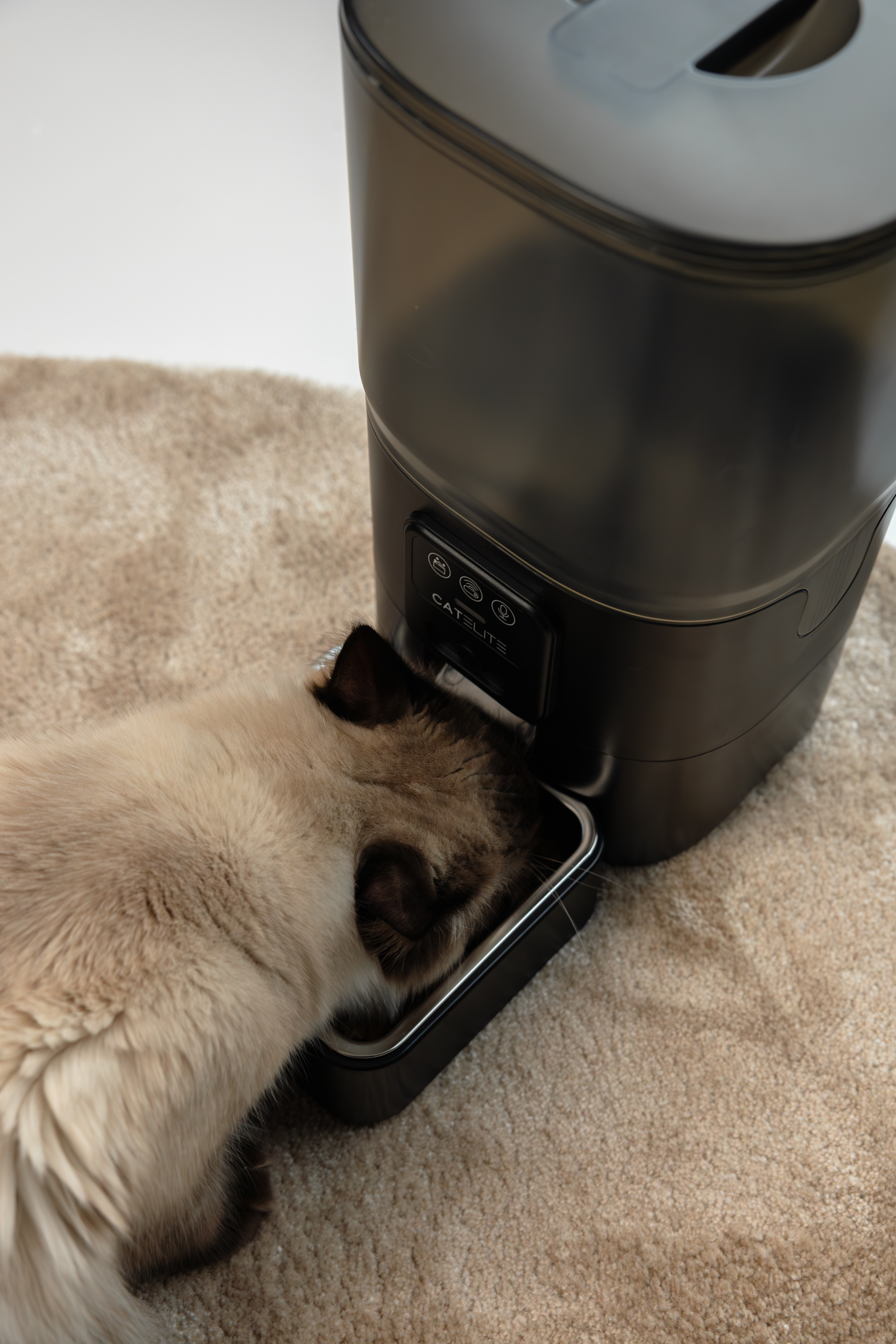 catelite-product_spotlight-3.jpg