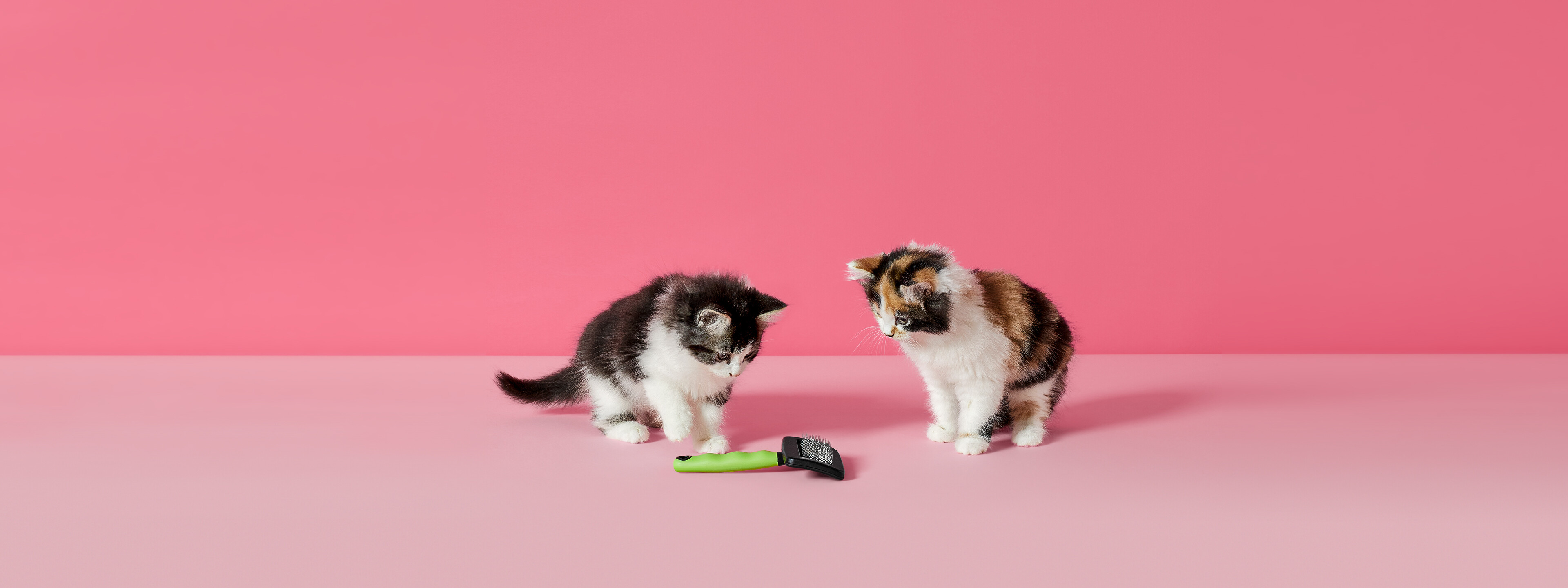 Content_stack-2021_Q3_Katten_borstel-3840x1440.jpg