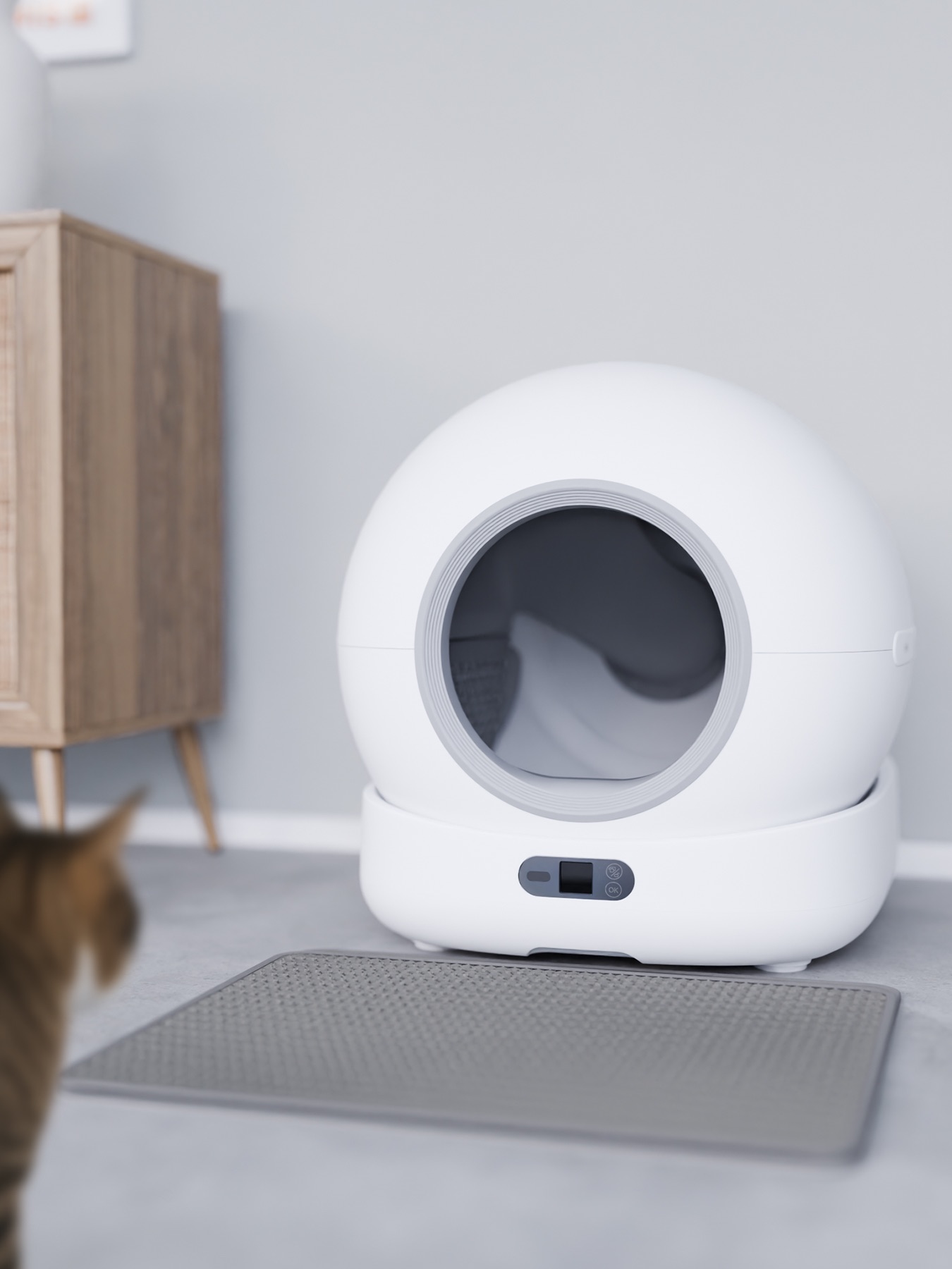 hombli-product_catalog-1.jpeg
