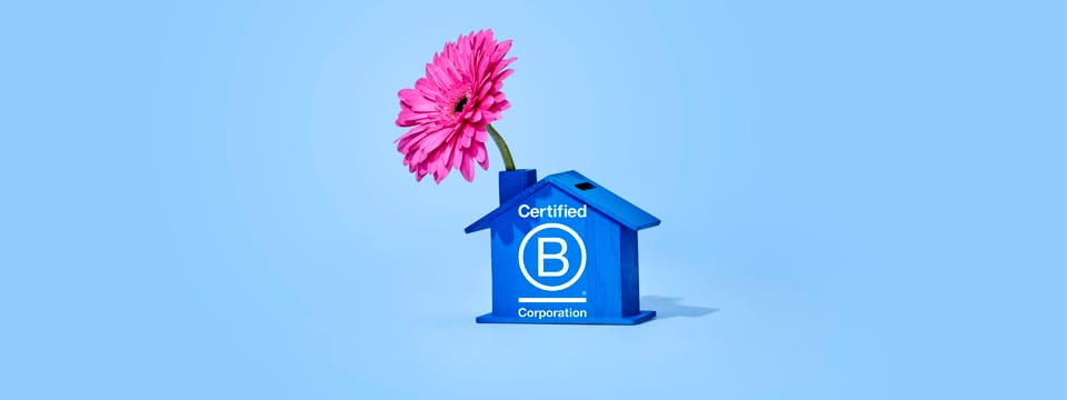 nieuw_huis_b_corp.jpg