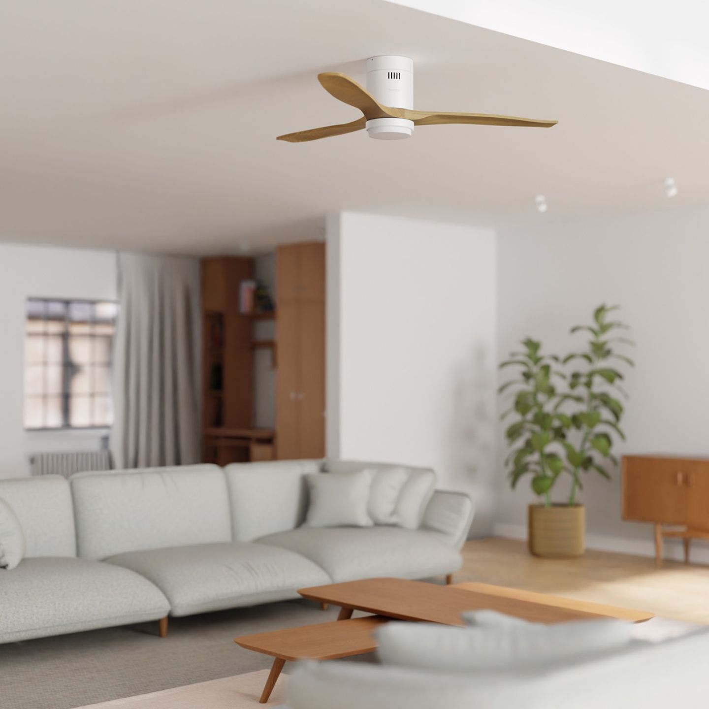 hombli-product_spotlight-1.jpeg