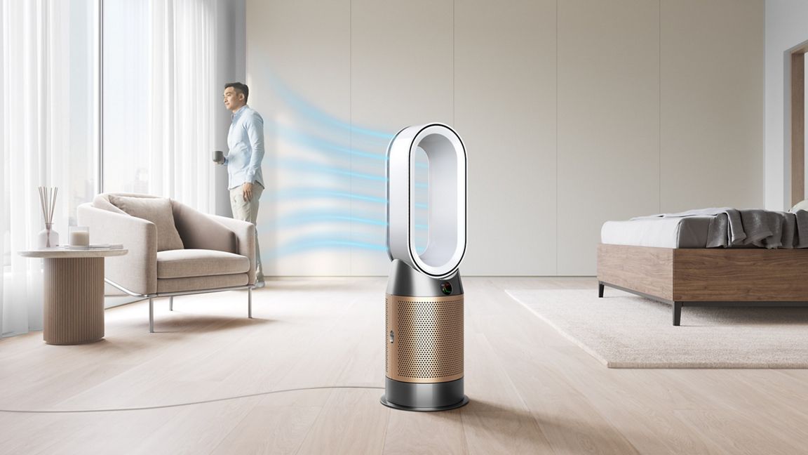 Dyson Purifier Hot+Cool HP2 De-NOx | bol