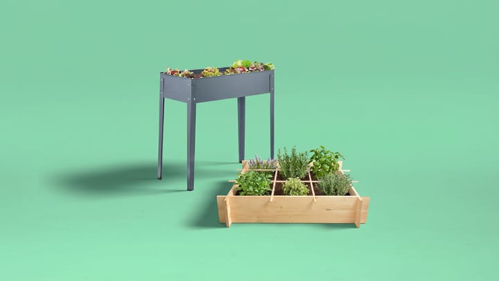 Moestuin.png Moestuin.png