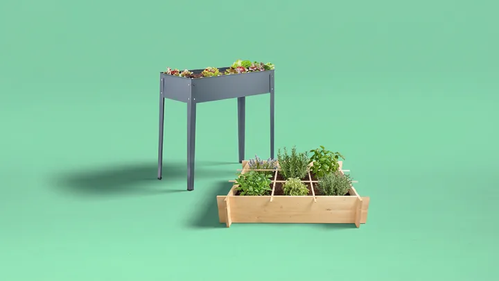 Moestuin.png Moestuin.png