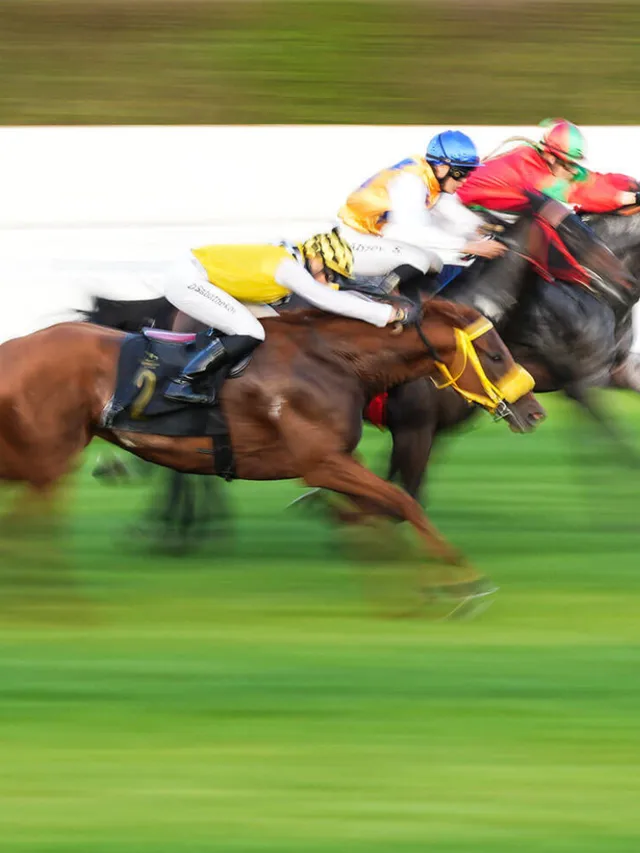sportfotografie.png