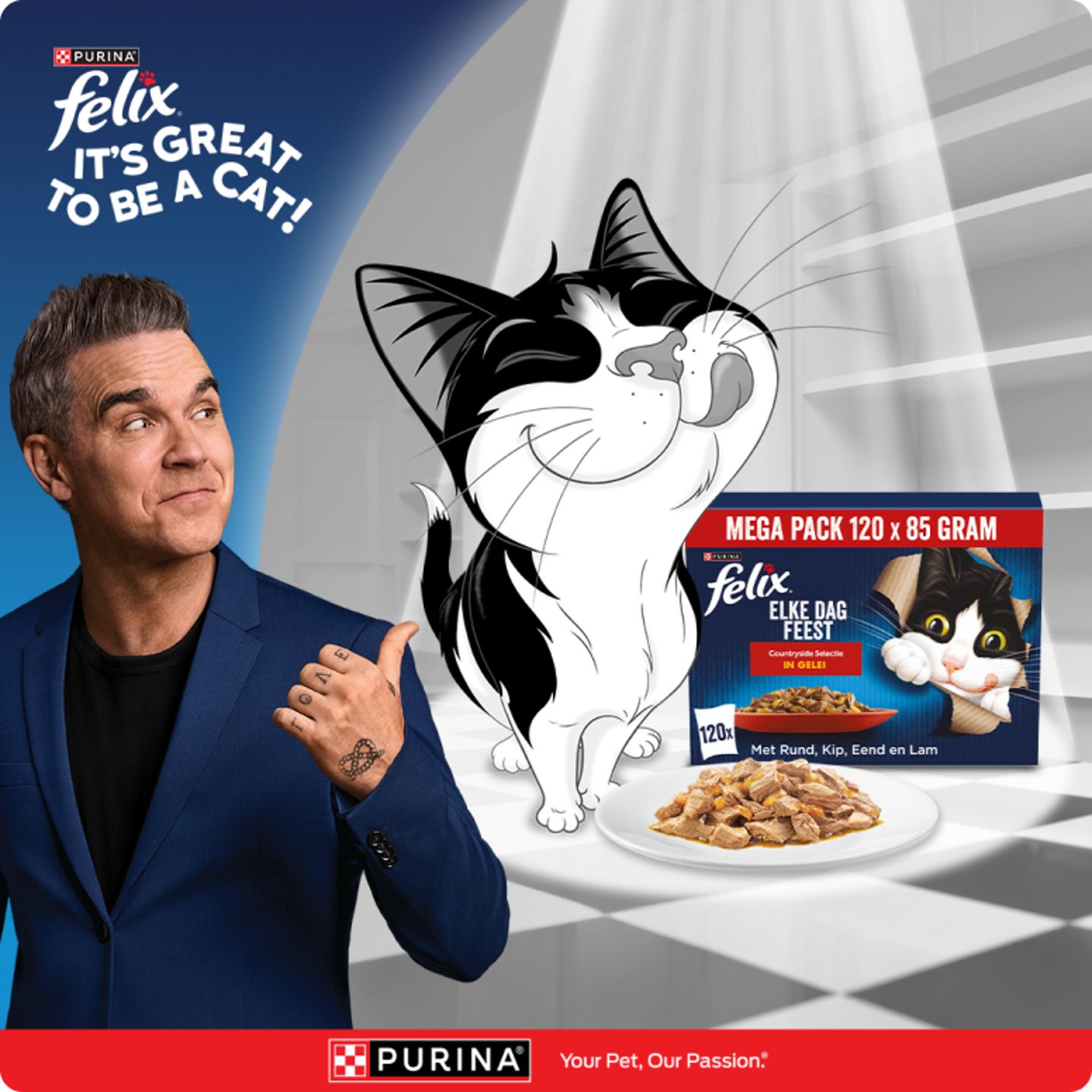 Man-met-grijs-haar-kat-en-Felix-hondenvoer-op-afbeelding.png