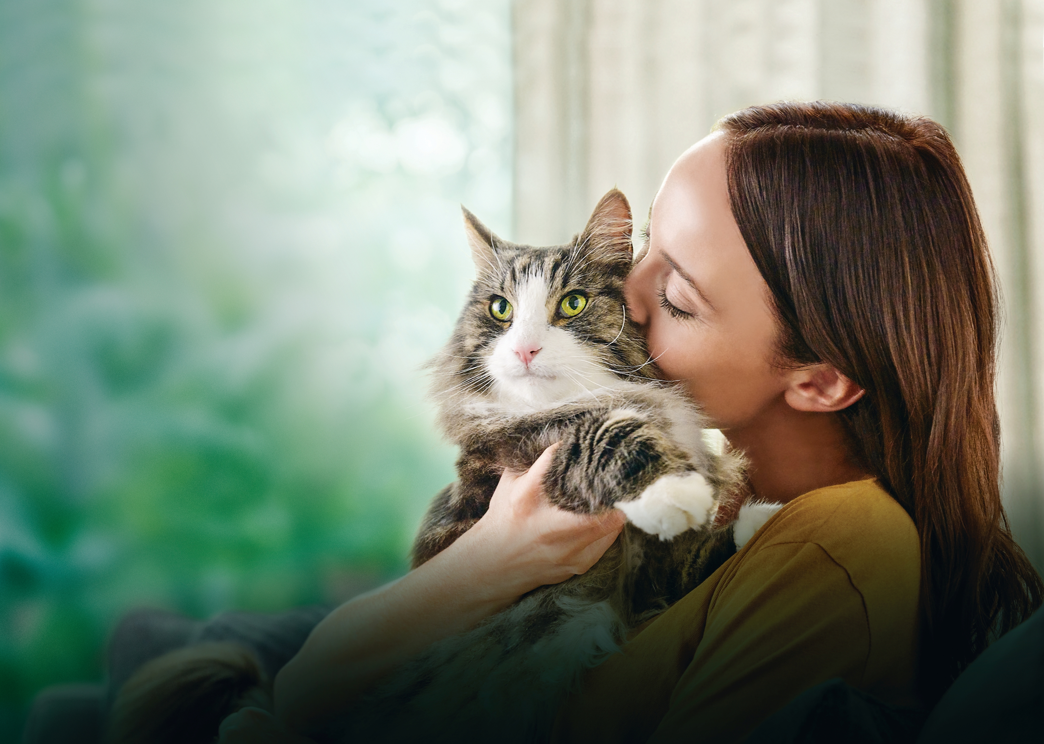 LiveClear_Editorial_Banner2.jpg