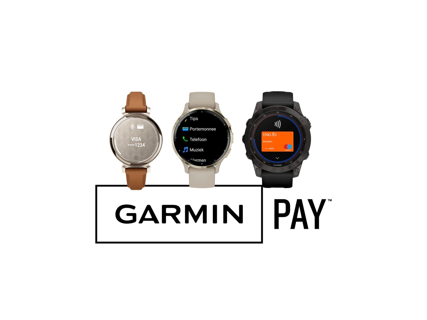 garmin pay.jpg