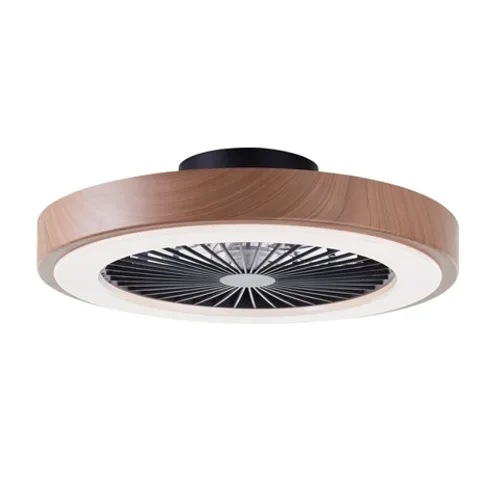 Plafondlampen met ventilator