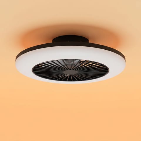 Plafondlampen met ventilator