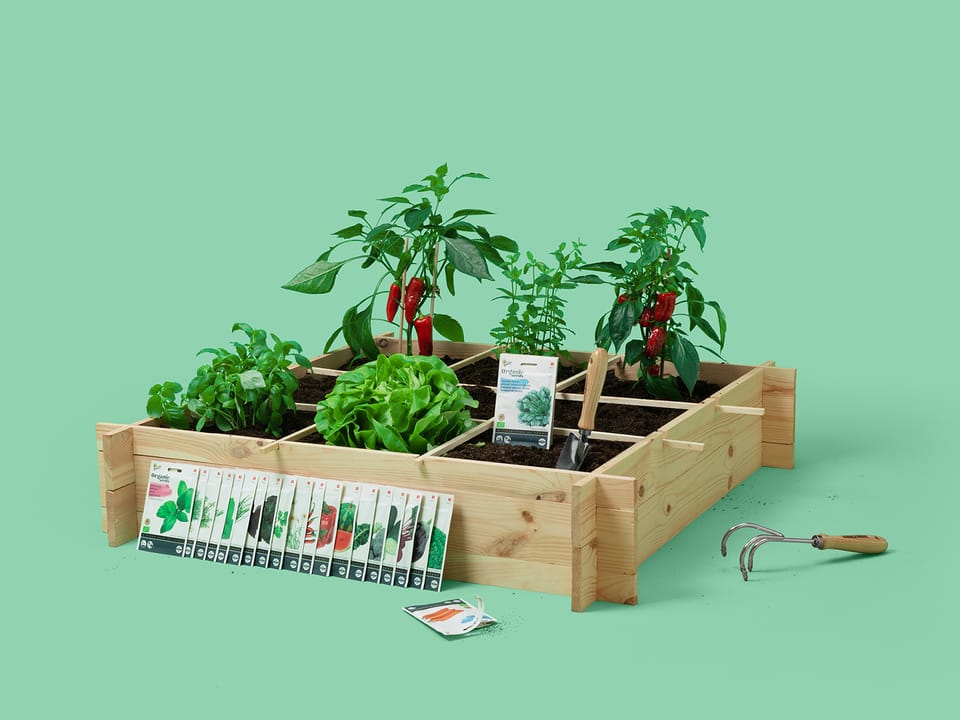 Moestuin