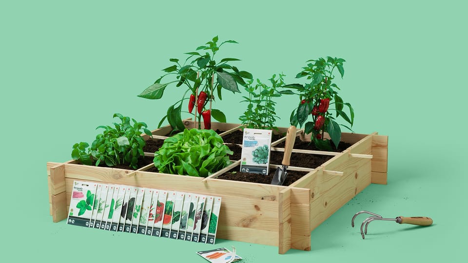 Moestuin Moestuin