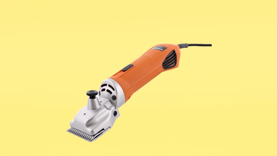 Paardentondeuse.png Paardentondeuse.png