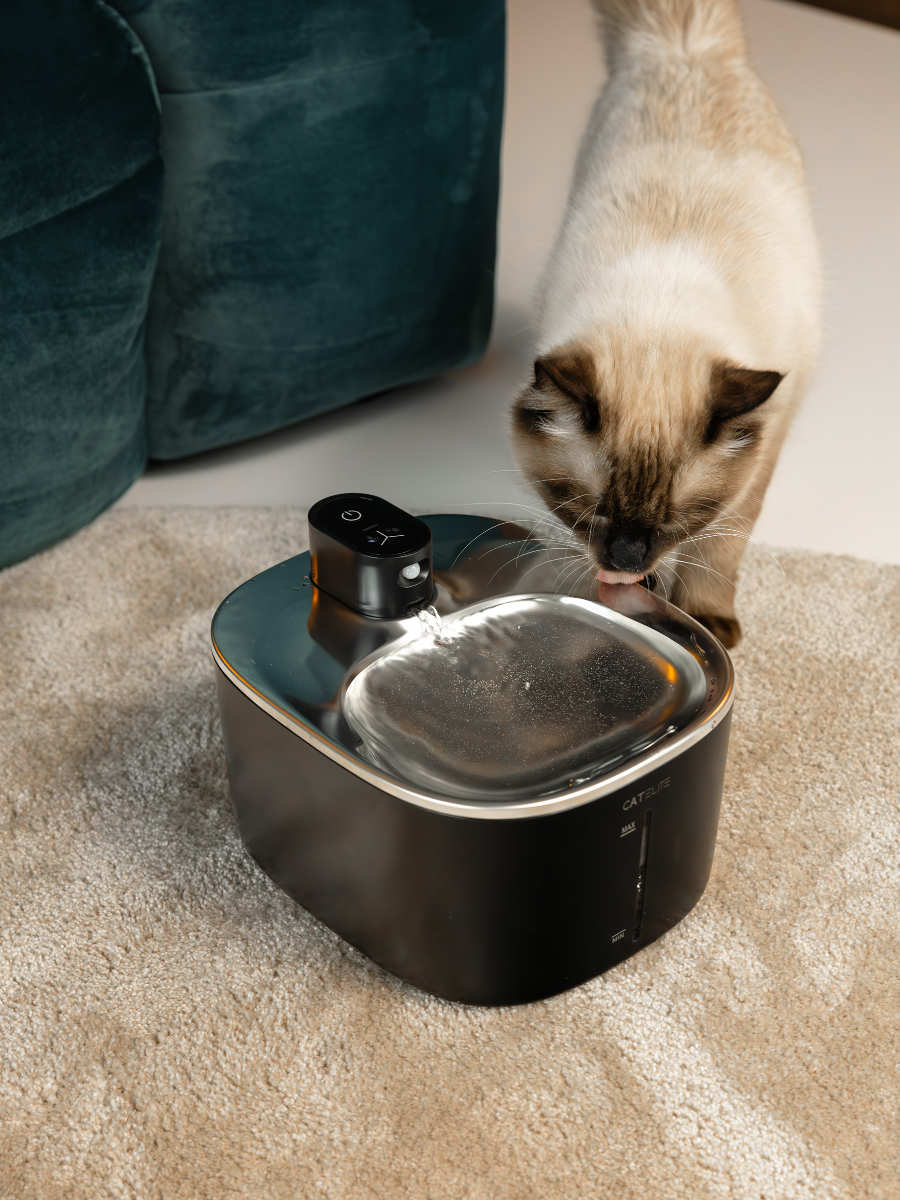 catelite-product_catalog-1.png