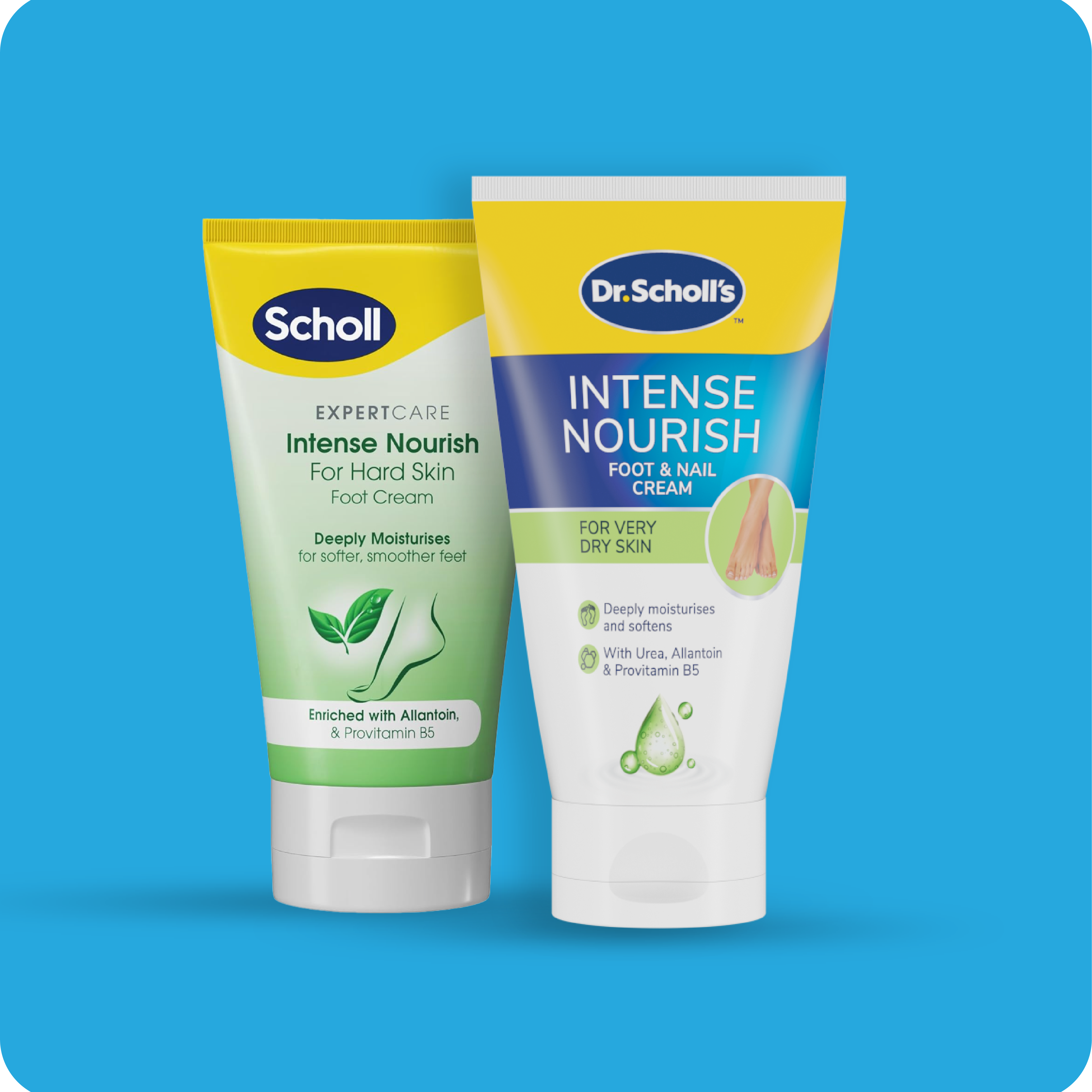 scholl-product_spotlight-1.png