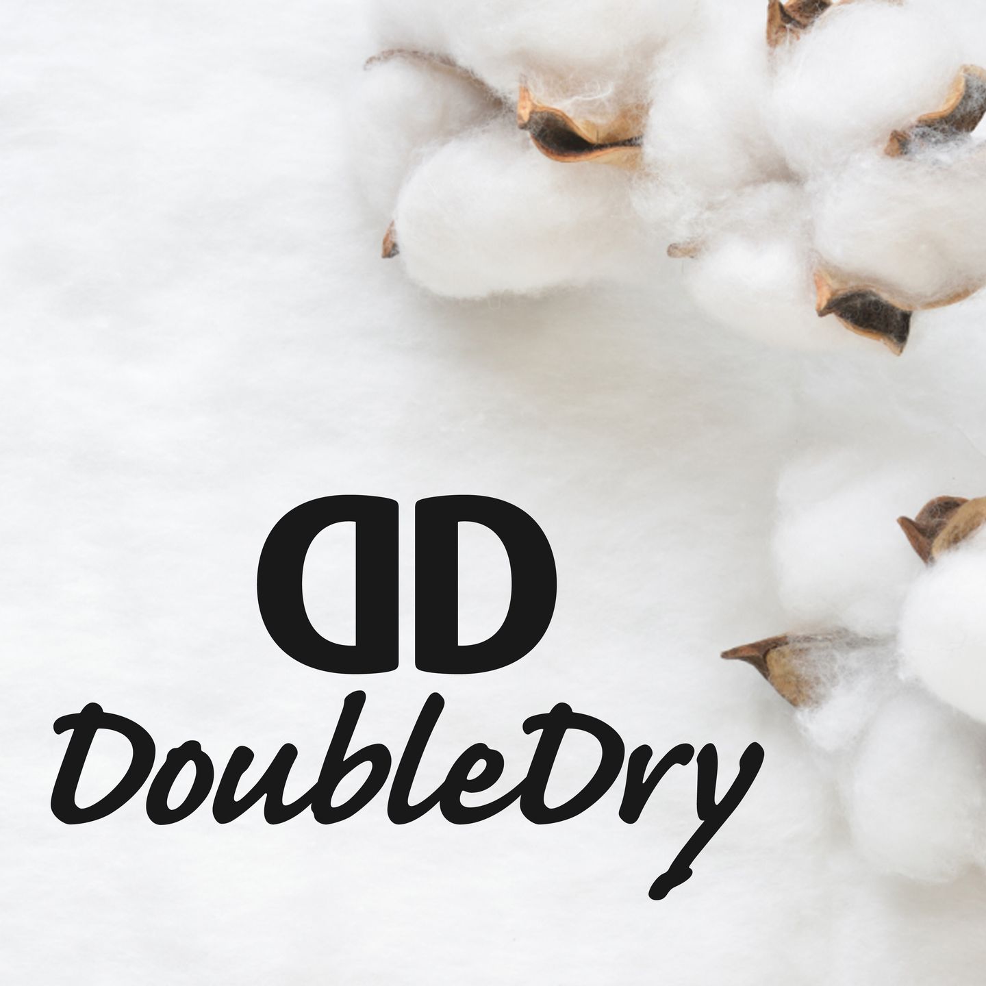 doubledry-story-1.jpg