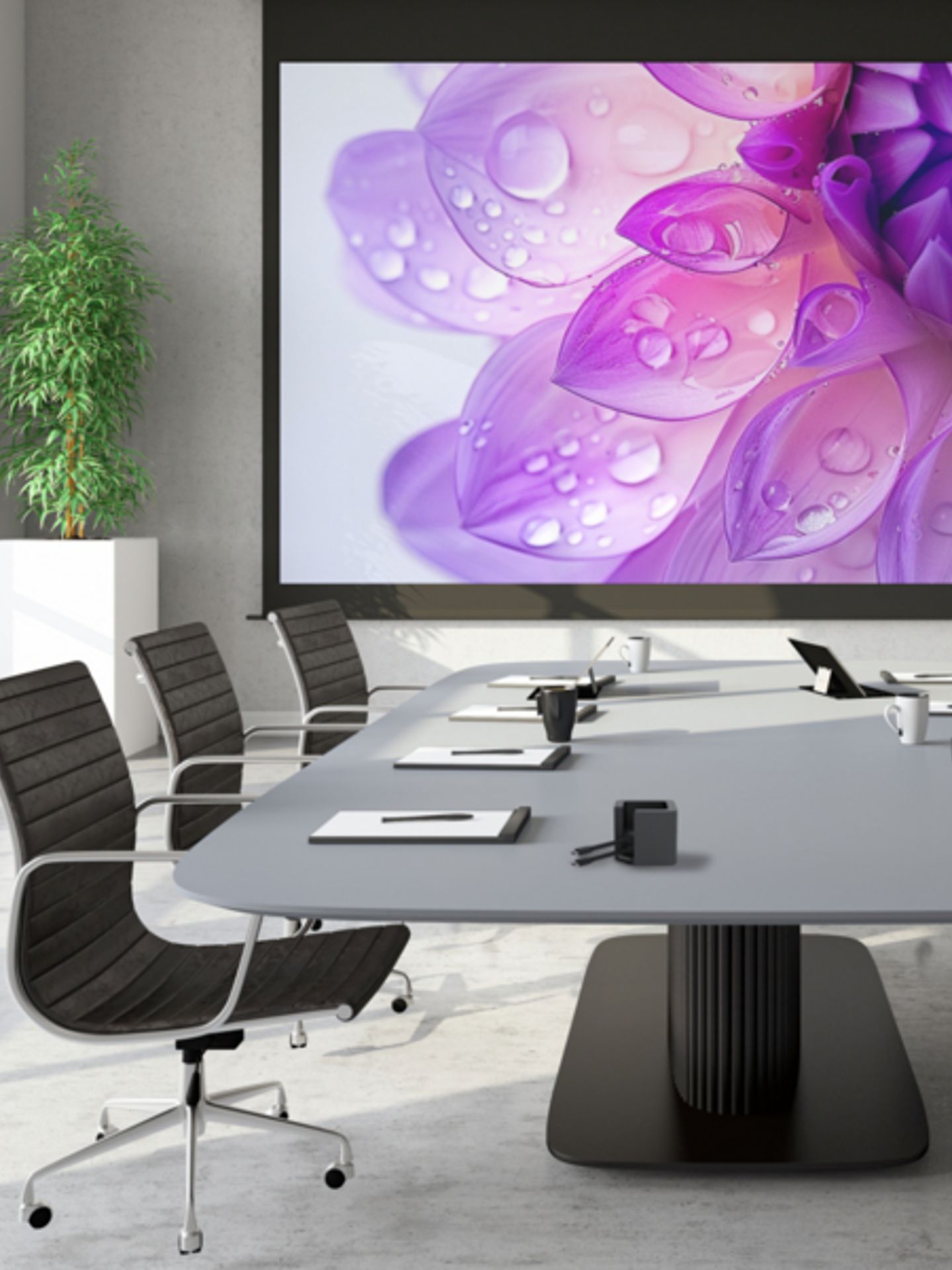 marmitek-product_catalog-2.png