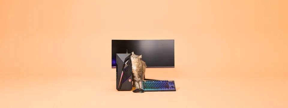 Desktop.jpg