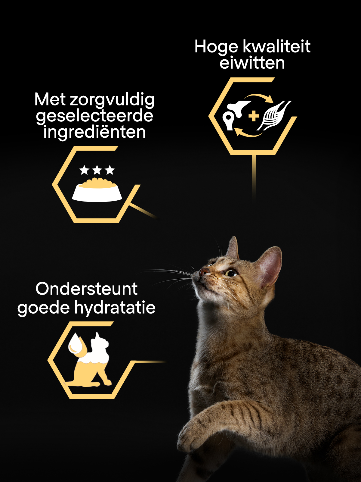 168377_PURINA_PRO_PLAN_BOL_CATALOG_BANNER_1200x1600.jpg