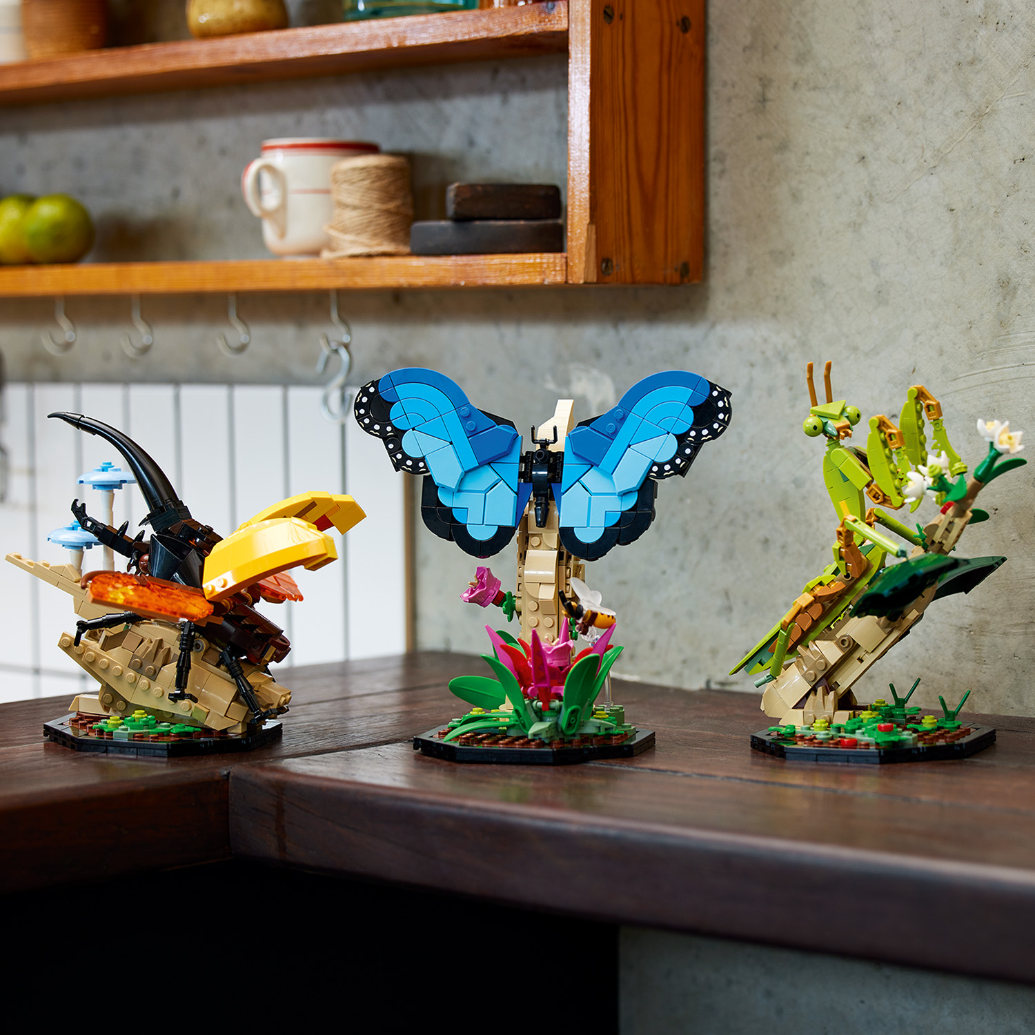 21342_LEGO insectencollectie.jpg