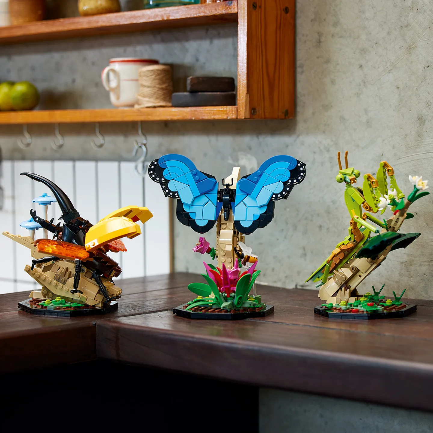 21342_LEGO insectencollectie.jpg