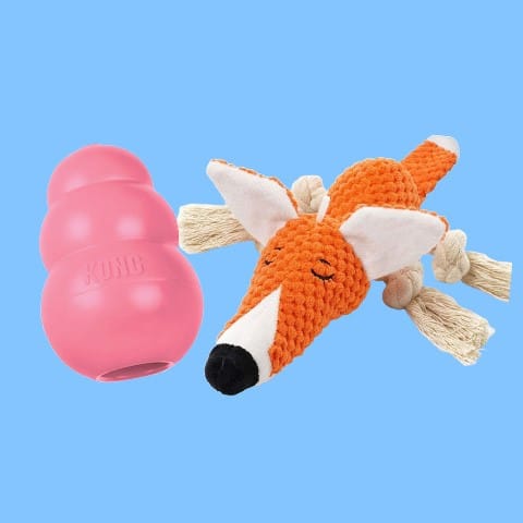 Puppyspeelgoed