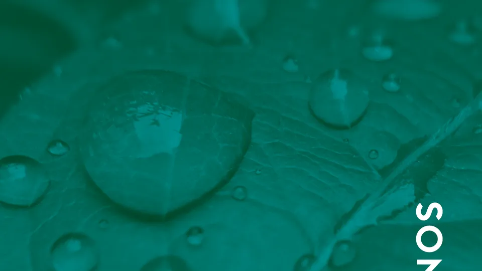 Rainforest_Cover.png Rainforest_Cover.png