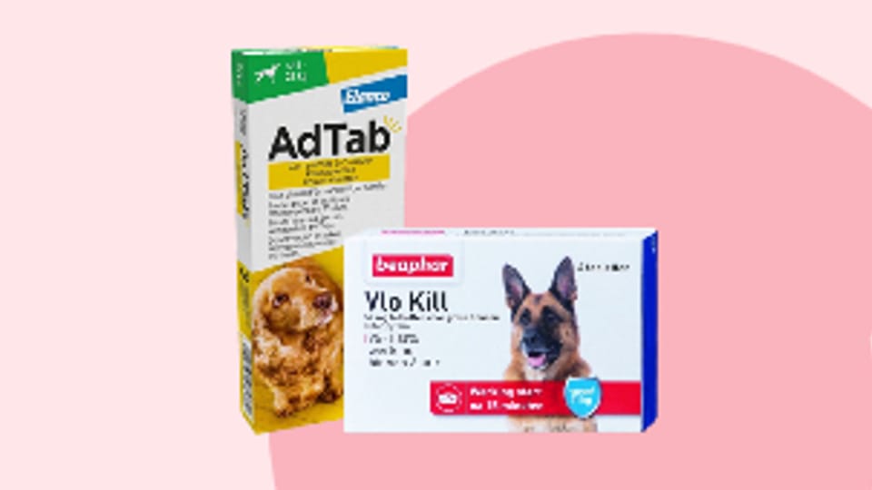 editorial_Tabletten_AntiVlo.jpg editorial_Tabletten_AntiVlo.jpg