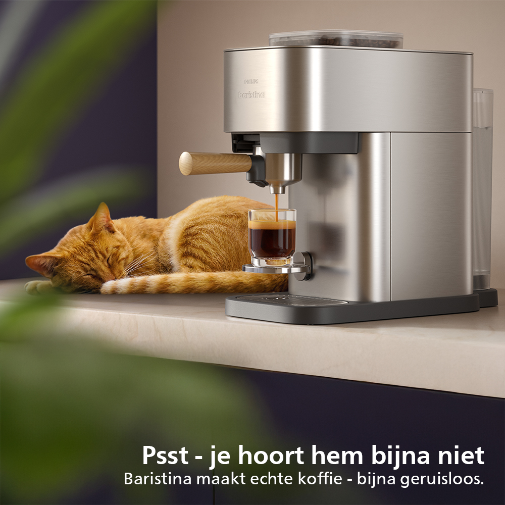 baristina bol brandpage.jpg