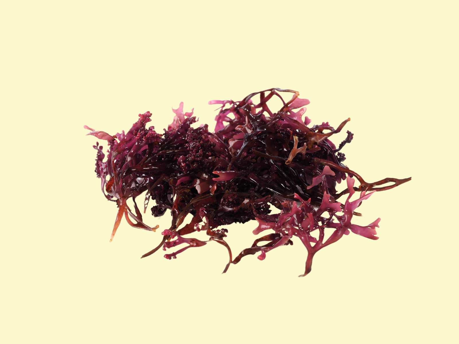 Untitled_(1600_x_1200_px)_(2).png