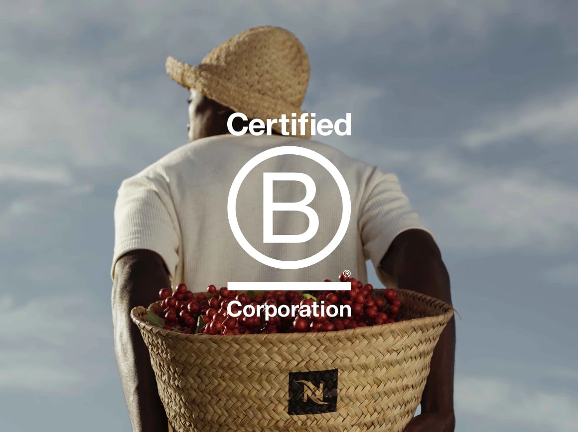 bcorp main-image_XL (1).jpeg