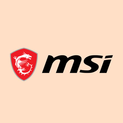 MSI