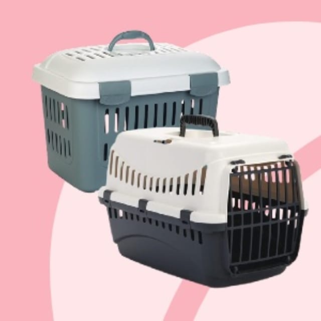 Kittenwinkel_Reismanden.jpg Kittenwinkel_Reismanden.jpg