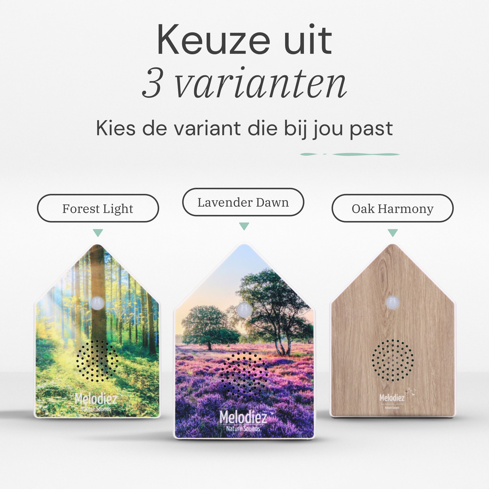 melodiez-product_spotlight-2.jpeg