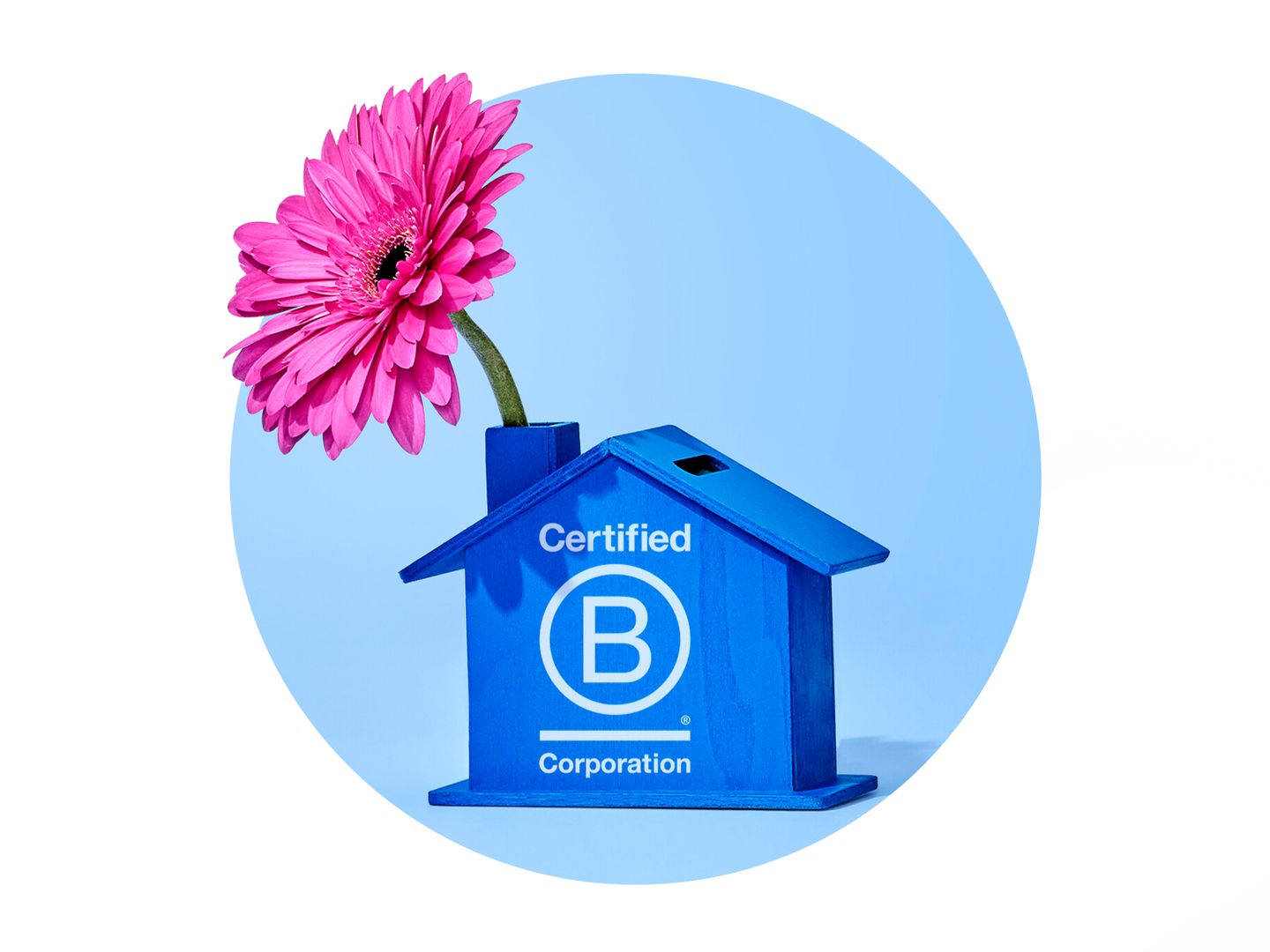 bcorp_2.jpg