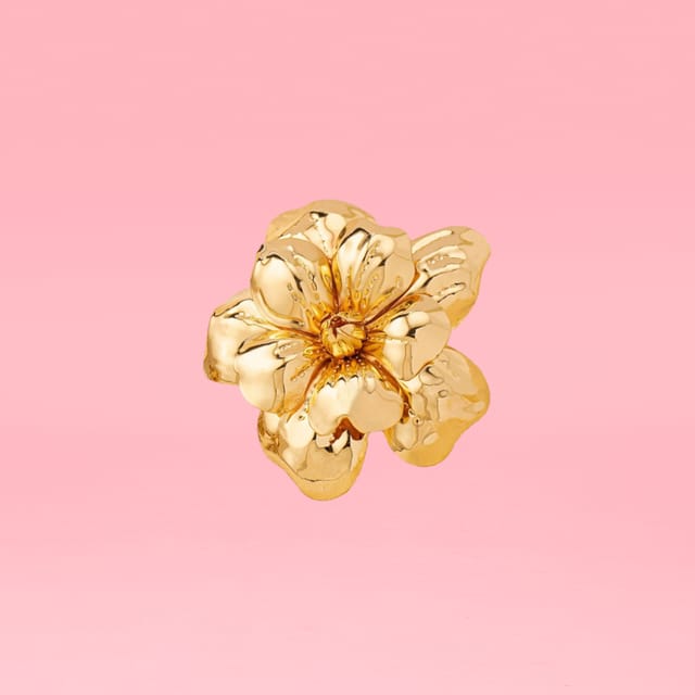 Broche 1.png Broche 1.png