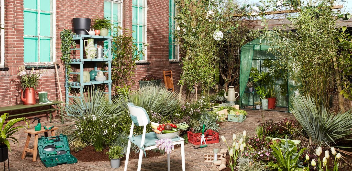 Groene tuin