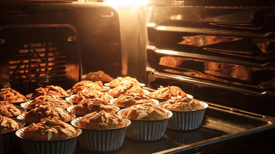 ovenlamp.jpg ovenlamp.jpg