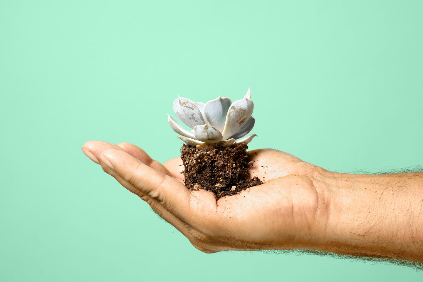 8.Hand-met-plant-duurzaamheid.jpg