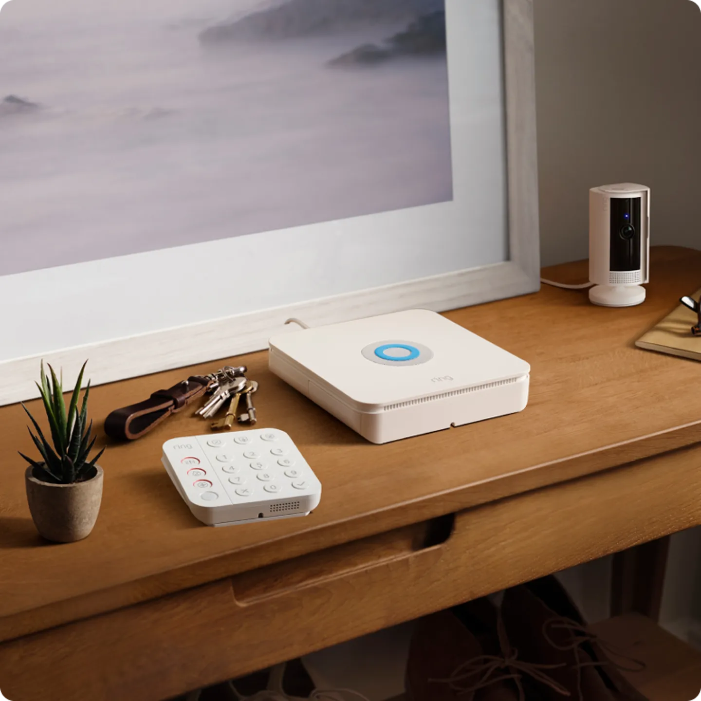 Moderne-intercom-met-controller-plantje-en-sleutels-op-tafel.png