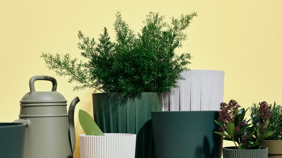 Groene tuin Groene tuin