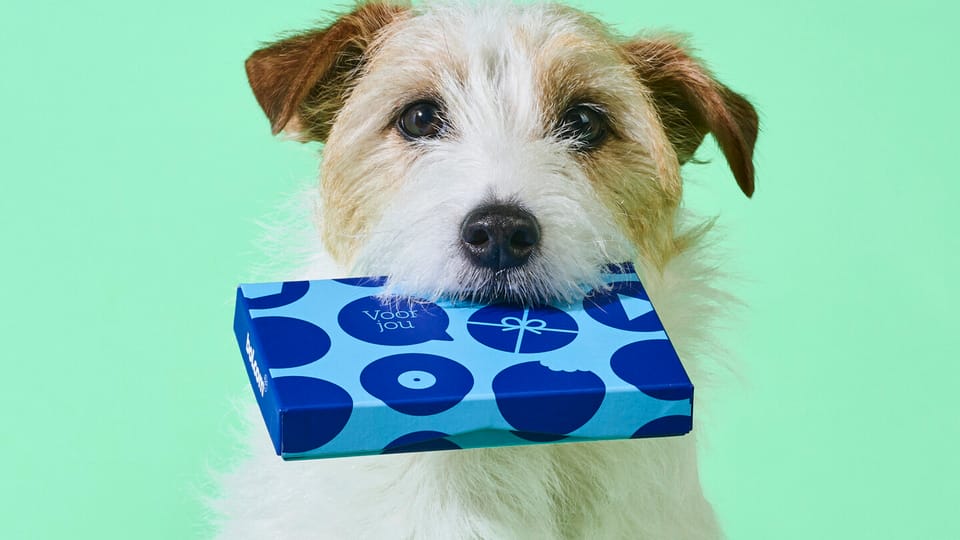 Content_stack-BOL.COM_SELECTCX_hond-cadeaukaart-1.jpg
