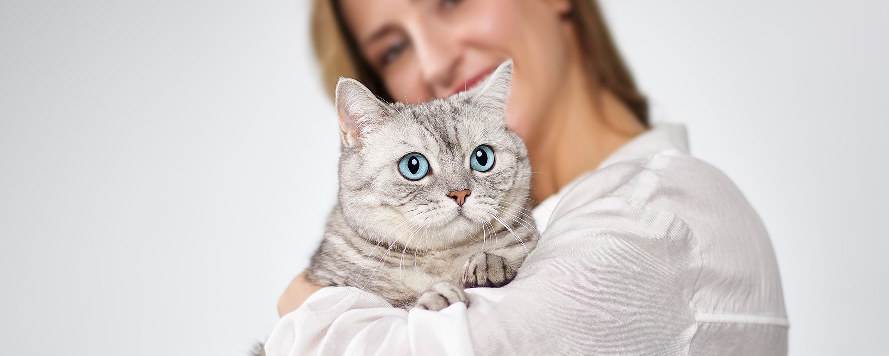 Het geheim van gelukkige katten
